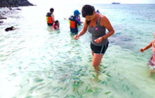 PP Khai Island Luxury Boat by JC Tour