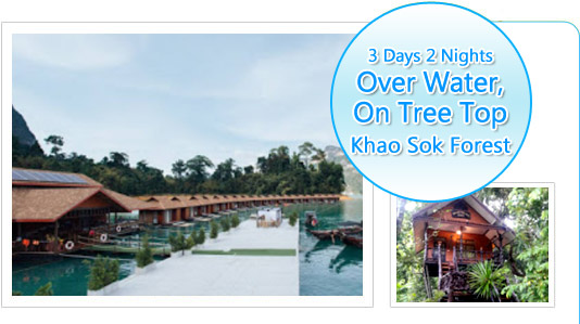3Days Over Water and On Tree Top 3Days Over Water and On Tree Top